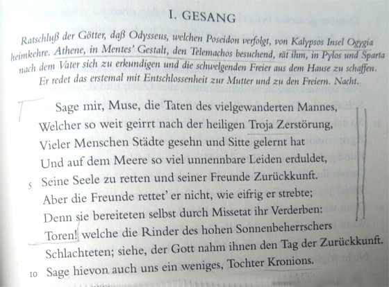 Homer: Odyssee – Anfang 1. Gesang