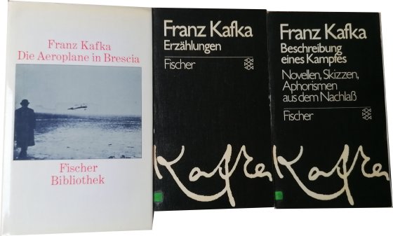 aus Kafkas Werken: Die Aeroplane in Brescia – Erzählungen – Beschreibung eines Kampfes